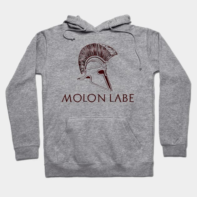 Molon Labe - Spartan / Gun Rights Shirt Hoodie by Styr Designs